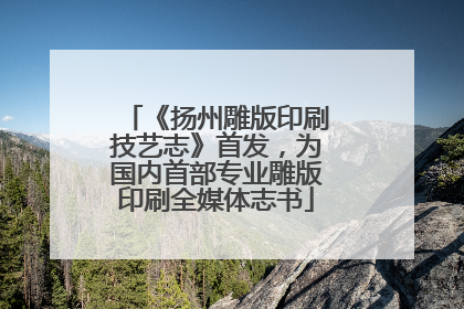 《扬州雕版印刷技艺志》首发，为国内首部专业雕版印刷全媒体志书