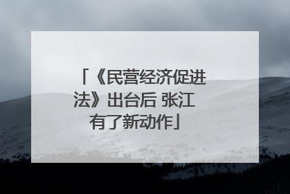 《民营经济促进法》出台后 张江有了新动作