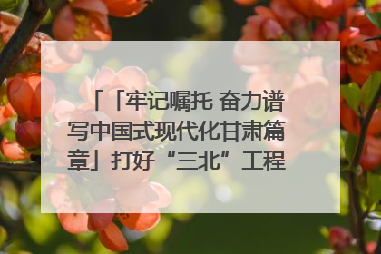 「牢记嘱托 奋力谱写中国式现代化甘肃篇章」打好“三北”工程攻坚战 筑牢国家西部生态安全屏障