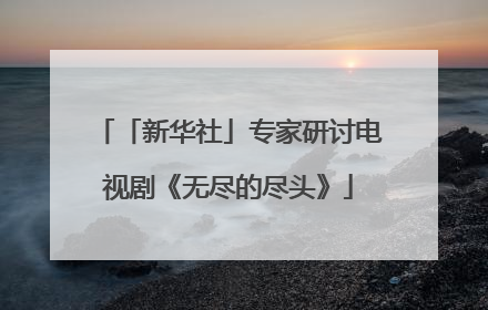 「新华社」专家研讨电视剧《无尽的尽头》