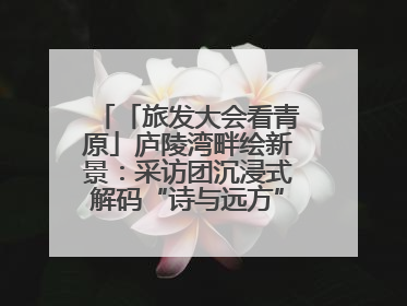 「旅发大会看青原」庐陵湾畔绘新景：采访团沉浸式解码“诗与远方”（图）