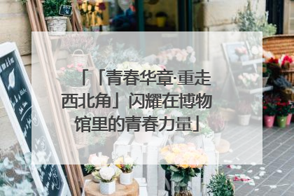 「青春华章·重走西北角」闪耀在博物馆里的青春力量