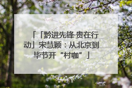「黔进先锋·贵在行动」宋慧颖：从北京到毕节开“村咖”