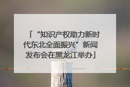 “知识产权助力新时代东北全面振兴”新闻发布会在黑龙江举办