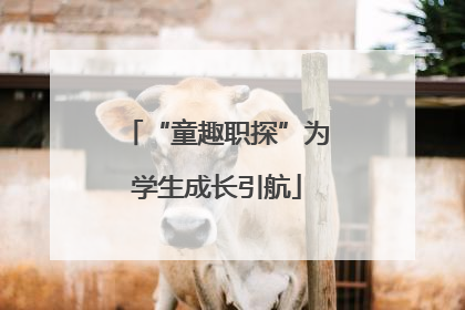 “童趣职探”为学生成长引航
