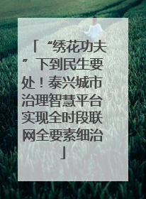 “绣花功夫”下到民生要处！泰兴城市治理智慧平台实现全时段联网全要素细治