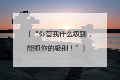 “你管我什么级别，能抓你的级别！”