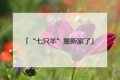 “七只羊”搬新家了