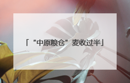 “中原粮仓”麦收过半