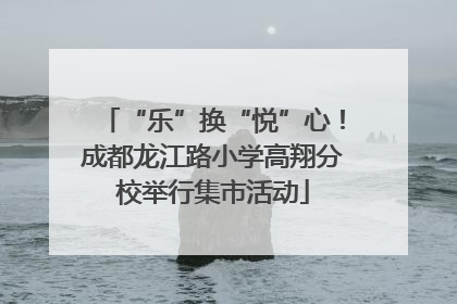“乐”换“悦”心！成都龙江路小学高翔分校举行集市活动