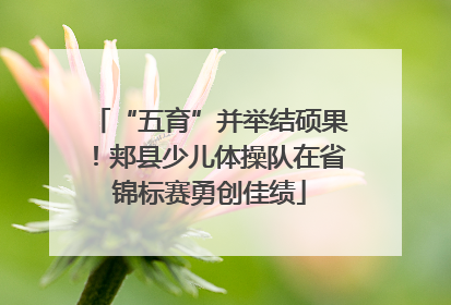 “五育”并举结硕果！郏县少儿体操队在省锦标赛勇创佳绩