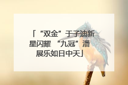 “双金”于子迪新星闪耀 “九冠”潘展乐如日中天