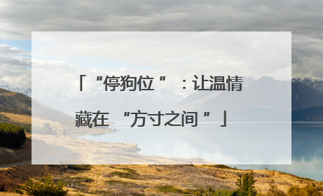 “停狗位 ”：让温情藏在 “方寸之间 ”