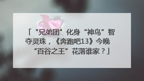 “兄弟团”化身“神鸟”智夺灵珠，《奔跑吧13》今晚“百谷之王”花落谁家？