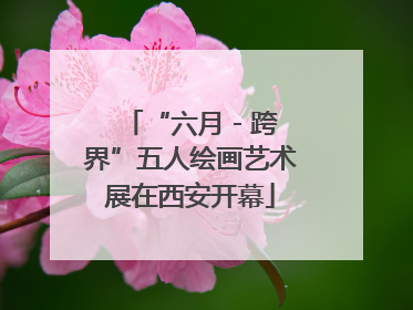 “六月 - 跨界”五人绘画艺术展在西安开幕