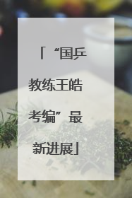 “国乒教练王皓考编”最新进展