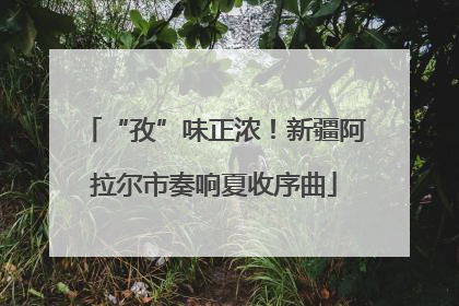 “孜”味正浓！新疆阿拉尔市奏响夏收序曲