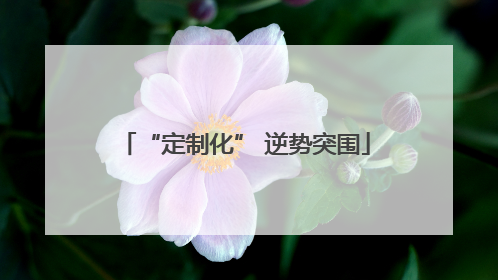 “定制化” 逆势突围