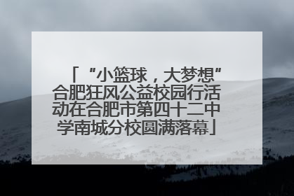 “小篮球，大梦想”合肥狂风公益校园行活动在合肥市第四十二中学南城分校圆满落幕