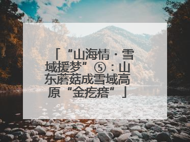 “山海情・雪域援梦”⑤：山东蘑菇成雪域高原“金疙瘩”