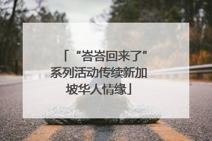 “峇峇回来了”系列活动传续新加坡华人情缘