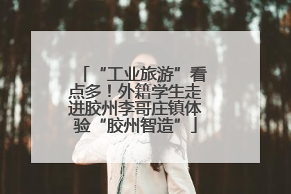 “工业旅游”看点多！外籍学生走进胶州李哥庄镇体验“胶州智造”