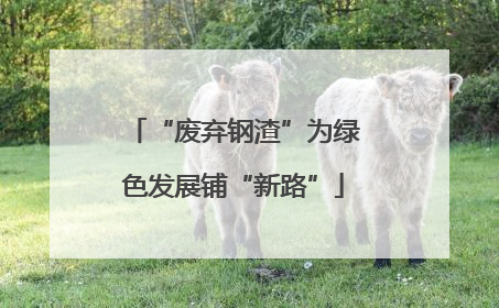 “废弃钢渣”为绿色发展铺“新路”