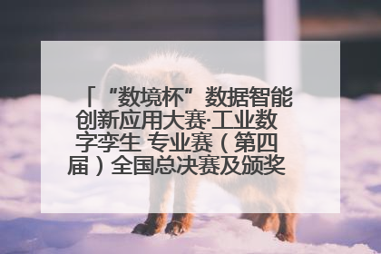 “数境杯”数据智能创新应用大赛·工业数字孪生 专业赛（第四届）全国总决赛及颁奖典礼成功举办