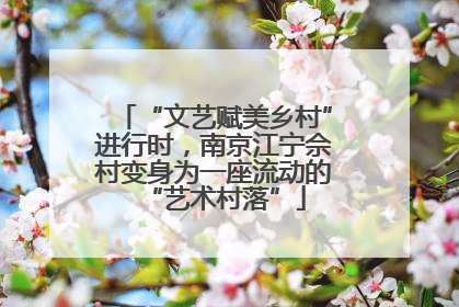 “文艺赋美乡村”进行时，南京江宁佘村变身为一座流动的“艺术村落”