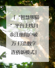 “智慧熊猫”平台上线月余注册用户破万 打造数字连侨新模式
