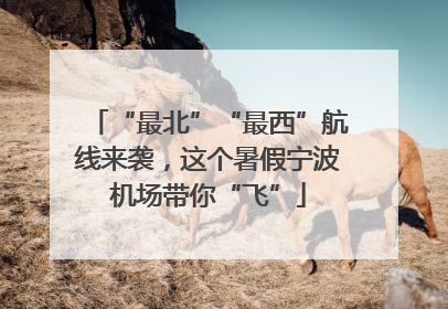 “最北”“最西”航线来袭，这个暑假宁波机场带你“飞”