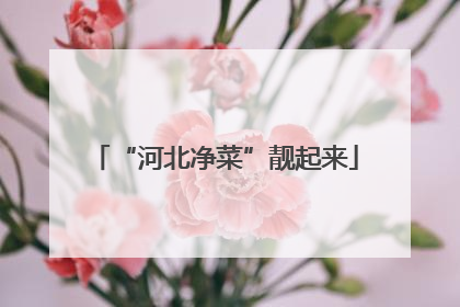“河北净菜”靓起来