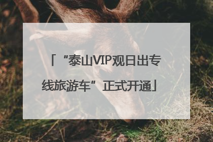 “泰山VIP观日出专线旅游车”正式开通