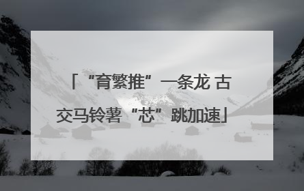 “育繁推”一条龙 古交马铃薯“芯”跳加速
