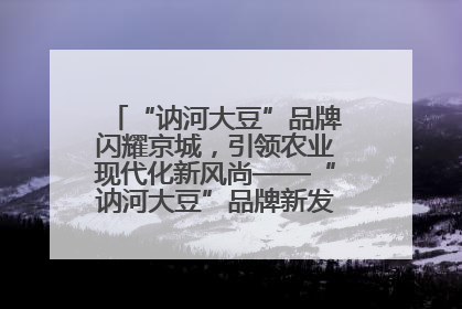 “讷河大豆”品牌闪耀京城，引领农业现代化新风尚——“讷河大豆”品牌新发地推介会圆满落幕