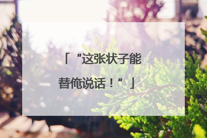 “这张状子能替俺说话！”