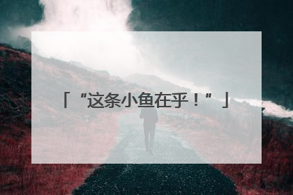 “这条小鱼在乎！”