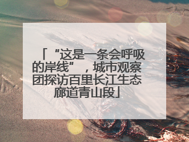 “这是一条会呼吸的岸线”，城市观察团探访百里长江生态廊道青山段