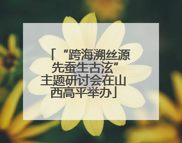 “跨海溯丝源 先蚕生古泫”主题研讨会在山西高平举办
