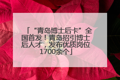 “青岛博士后卡”全国首发！青岛招引博士后人才，发布优质岗位1700余个