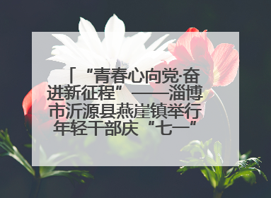 “青春心向党·奋进新征程”——淄博市沂源县燕崖镇举行年轻干部庆“七一”演讲比赛