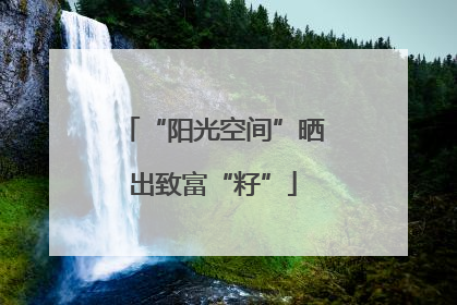 “阳光空间”晒出致富“籽”