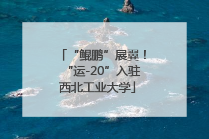 “鲲鹏”展翼！“运-20”入驻西北工业大学