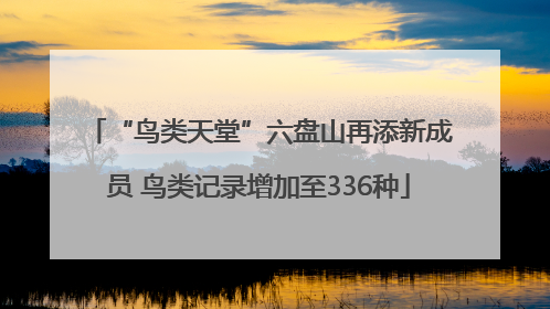 “鸟类天堂”六盘山再添新成员 鸟类记录增加至336种