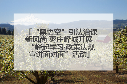 “黑悟空”引法治课新风尚 枣庄峄城开展“峄起学习·政策法规宣讲面对面”活动