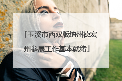 玉溪市西双版纳州德宏州参展工作基本就绪