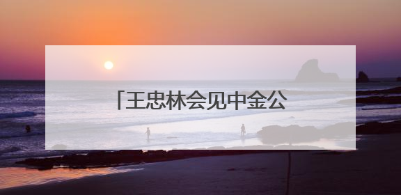 王忠林会见中金公司董事长陈亮 持续深化务实合作 做强支点建设金融支撑
