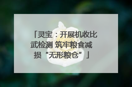 灵宝：开展机收比武检测 筑牢粮食减损“无形粮仓”