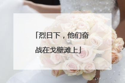 烈日下，他们奋战在戈壁滩上