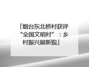烟台东北桥村获评“全国文明村”：乡村振兴展新貌